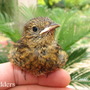 Img_3330
