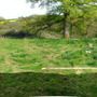 Barn_garden_before