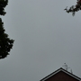P1010659