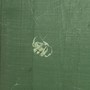 Spiders_007
