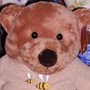 Olivehouse_033_big_ted