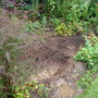 Dsc00966