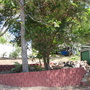 New_garden_beds_2