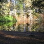 1-the_first_lake_view
