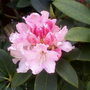 Photo-0014_6