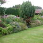 Juniper_in_the_top_border