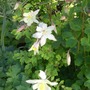 Cimg3810__2_