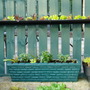 Garden_2010_033