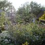 Picture_005