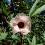 028