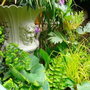 Image019