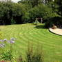 I love this lawn