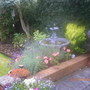 Raised lavender bed