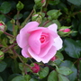 Captured_2007-6-22_00024