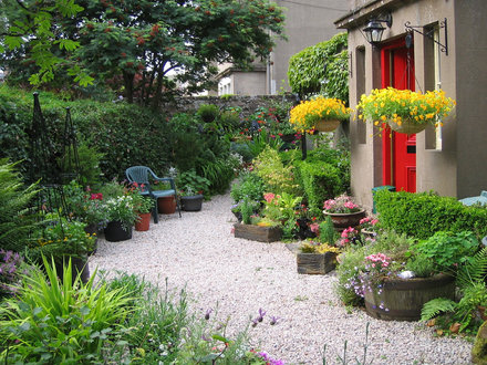 My Gravel Garden 