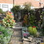 garden_on_14th_june__09_007.jpg
