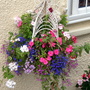 Summer Basket