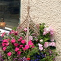 Summer Hanging Baskets