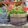 Red Petunias