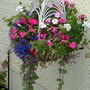 Hanging Basket