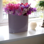 Sweet Peas