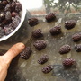 Blackberry (Rubus fruticosus (Blackberry))
