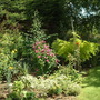 Garden_11