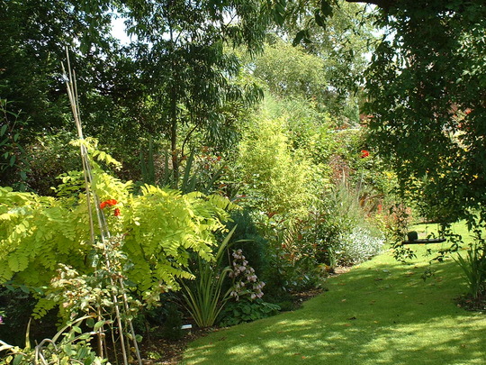 Garden_11.08.09_026.jpg