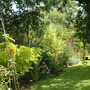 Garden_11
