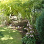 Garden_11