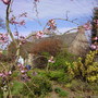 The Old Shop and Lean-To