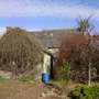 The Old Shop