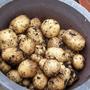 Potatoes that I grew in big tubs.