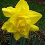 3-30-08_033