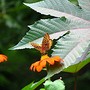 8-9-09_summer_028