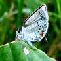 8-9-09_summer_057
