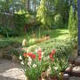 Springtime