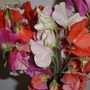 Dsc00075