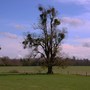 IMG_0093.jpg
