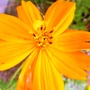 P1060694