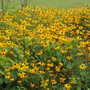 bankholaug09_001__23_.jpg
