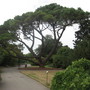 bankholaug09_001__27_.jpg