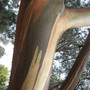 bankholaug09_001__32_.jpg