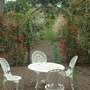 A garden flower photo