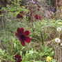 Gardenview3__13