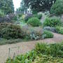 wakehurst3.jpg