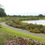 Beds near lake and new glasshouse.