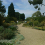 Dry garden