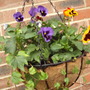 winter basket