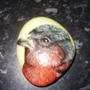 Chaffinch?